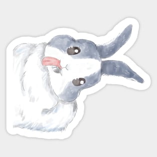 PEAK A BOO RABBIT Sticker